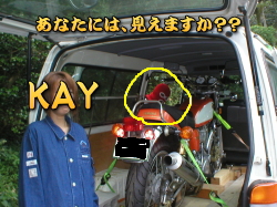 IISʐ^II