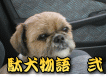 ʌ@