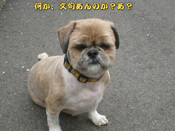񂳂ANɃKƂ񂶂II