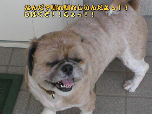 IIq̂EE