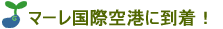 �����f�B�u�r���h�D