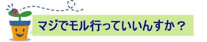 ���[�e�B