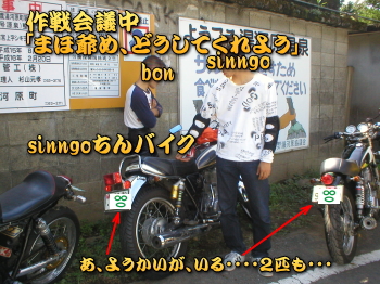 sinngo����̃o�C�N���o�b�N�ɃR�\�R�\�ƍ���c�E�E�E