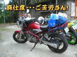 �ǂ��ɁA���܂�񂾁H�H