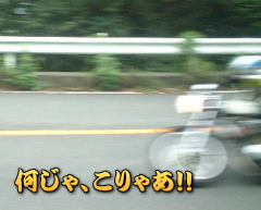 �Ȃ�ł��傤���H�H����́H�H