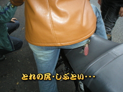 �Ȃ�Ől�̃o�C�N�Ɍׂ��Ă�́H�H