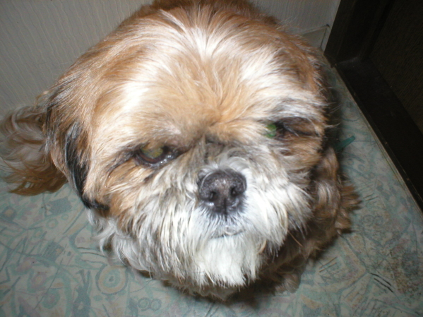 �W���[�A�҂��Ă邺�E�E