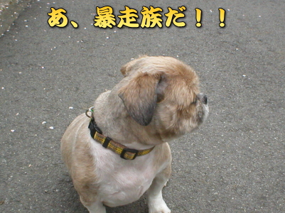 �����I�I�҂��Ă��񂾂�I�I