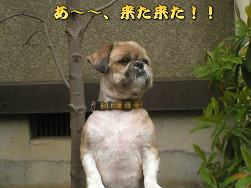 �܂����ȁ`�`�A�܂����ȁ`�`�A���������I�I