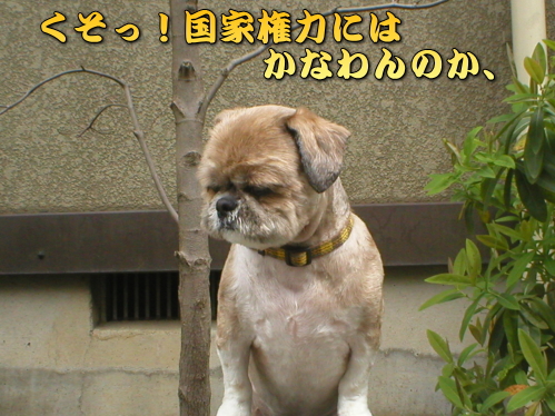 �����I�I�������ɂ͊������E�E�E���A����Ȃ����������E�E