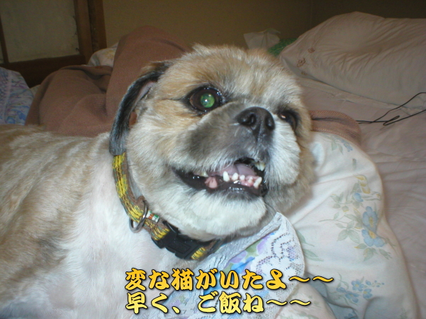 ���`�`�`�A���������A���΂͂�A�͂悹���I�I