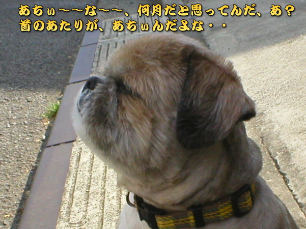 �������񂾂�