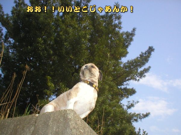 �C���u������񂩁I�I