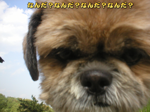 �Ȃ񂩁A���邼�E�E