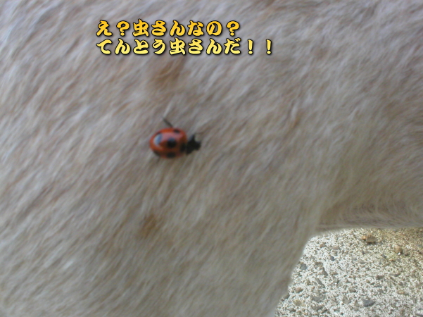 ����Ђ������`�`�`�I�I