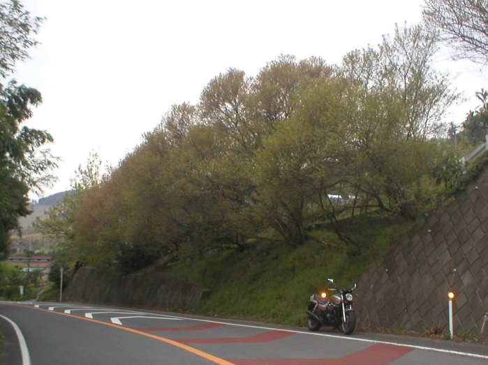 �����U������̂Ǔc��