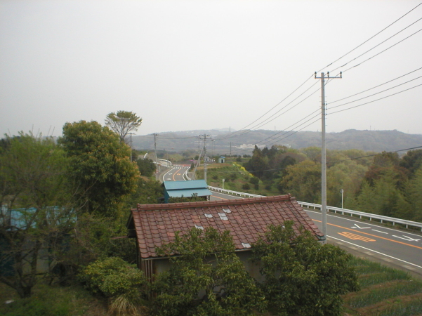 �r�q�ŃR�P�^���A��O�̏����ŋx�e�H������E�E�E