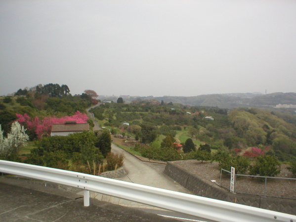 ����Ȃ́A������O������E�E