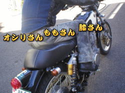 �o�C�N�ɂ�������鏊