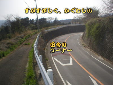 ���܂ɋ��̕����܂�����A�������������`�`