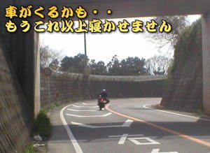 ��������Ȃ����A�Ԃ��邩���ȁE�E�Z���^�[���C�����߂����E�E