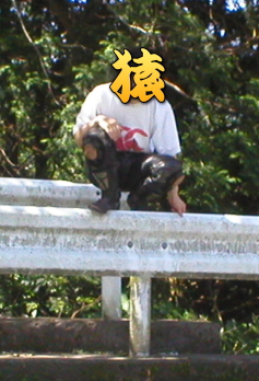 �����牎�Ɋi�グ�ł����H�H