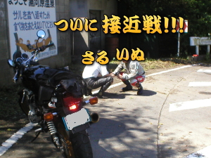 ���ɁA�ڕ��܂ŁE�E�E�E