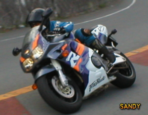 �r�`�m�c�x�i�؂蕨�j