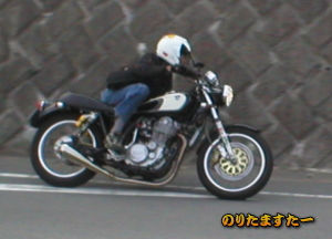 �̂肽�܂����[�i�؂蕨�j