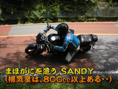 �T�N�U��̒ւƂ͎v���Ȃ��A���̑���B���񂽂́A�̂��I�I