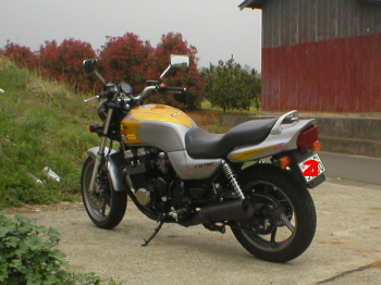 ������ƁA�h��ڂŁA�킯�킩��񂿂��`�`�̐F����