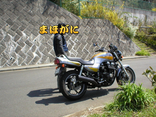 �}�z�K�j�ƁA�J�u�V�T�O�B���ꉏ���H