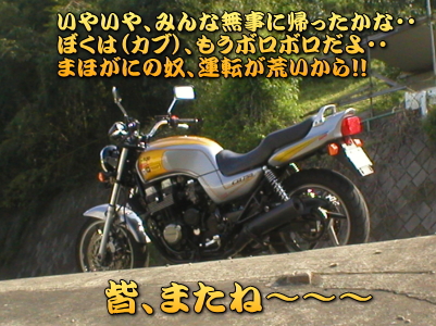 ���g����āA�ڂ�ڂ�̃J�u�N