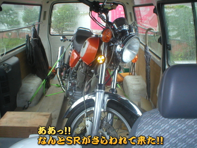 �����ꂽ�A�r�q�i�d�����j�ٔ���