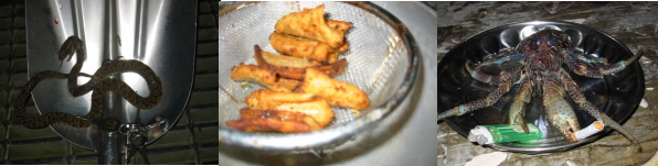 ���H�����̕��A��ϐ\���󂠂�܂���