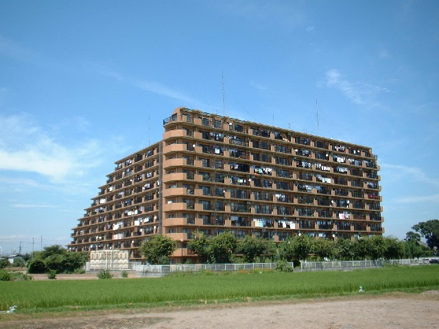 ribercort.JPG