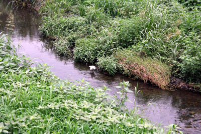 nogawa