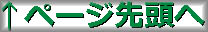 ReturnPageTop
