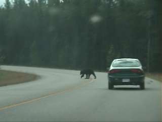 マリーンレイクへ行く途中