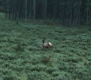 �X���삯��G���N�@���ꂼ�^�̖쐶