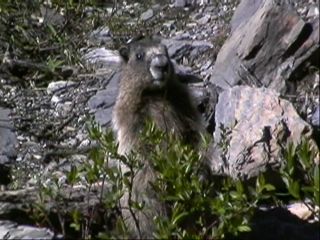 �l�ԂɊ֐S����