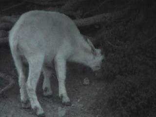 �Q�J���ŃO���b�v�ł���