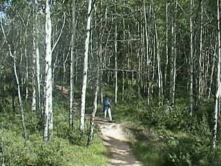 Old Fort point�̃g���C��