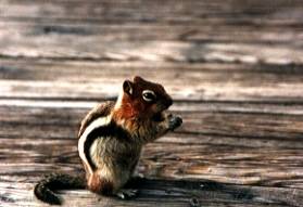 ��������X