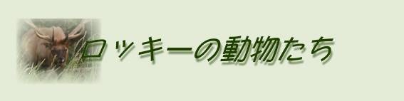 ���b�L�[�̓�������