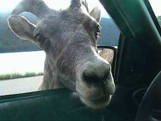 ��Ƃ̒��V���H���̎��͐l�Ȃ�����