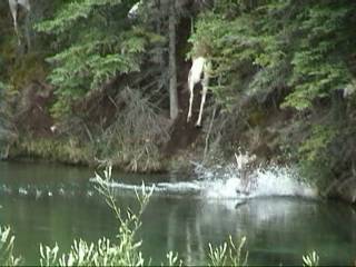 �~�G�b�e����֍s���r���Ł@�r�ɗ������r�b�O�z�[��݂̎q�ǂ�