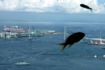 密室遊魚