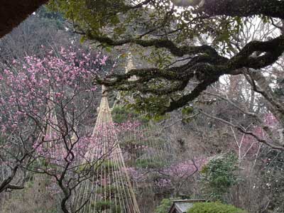 百草園