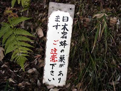蜜蜂